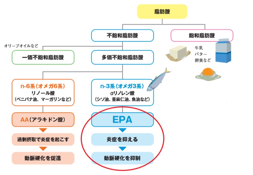 Kona挑戦を支える 毎日の Epa習慣 Lumina Webマガジン