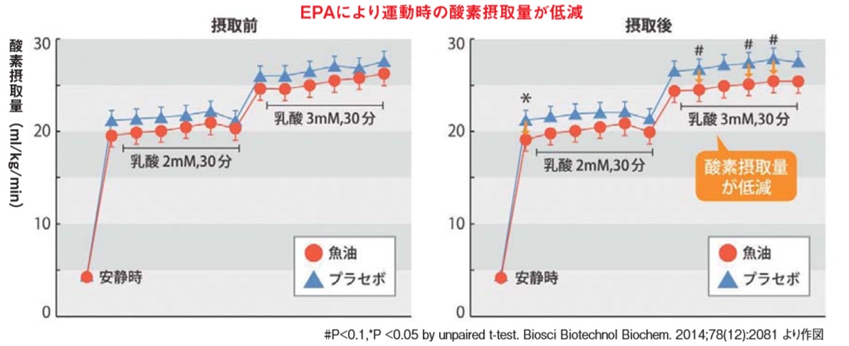 KONA挑戦を支える 毎日の「EPA習慣」 - LUMINA Webマガジン